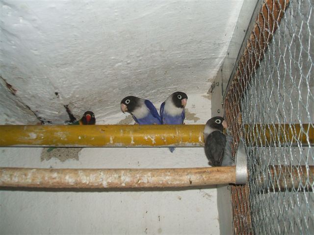 DSCF0546.JPG